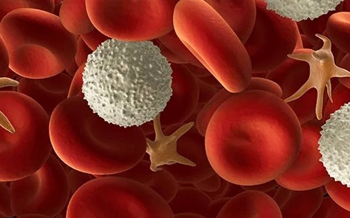 Trombosit ve nötrofil sayısını artırmak için ne yapmalı?